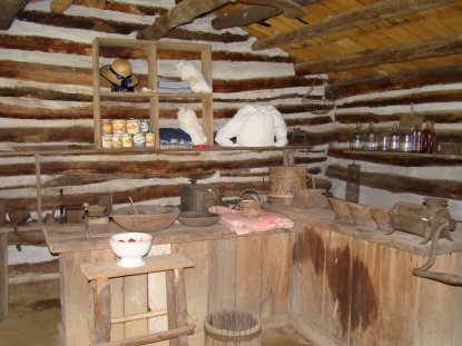 Inside View