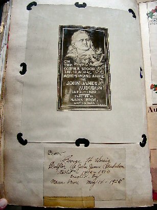 Audubon Photo